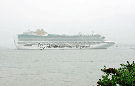 Ventura following Adonia
